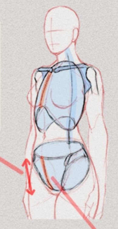 Women Chest Drawing Reference, Torso Drawing Reference Female, Anime Female Anatomy Drawing, How To Draw Shoulders Female, Draw Torso Female, How To Draw Torso Female, Anime Body Proportions, Bust Up Reference, Torso Reference Female