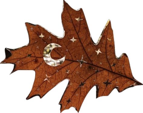 #autumn #leaf #aesthetic #fall Autumn Png Aesthetic, Autumn Leaf Aesthetic, Leaf Aesthetic, Png Aesthetic, Aesthetic Fall, Autumn Leaf, Aesthetic Stickers, Collage, Tv