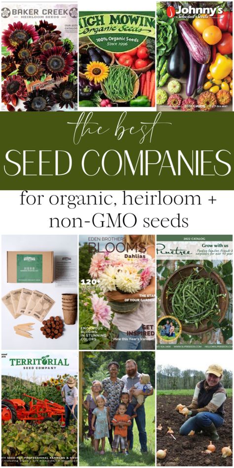 best seed companies Seed Companies, Gardening Decor, Dahlias Garden, Garden Farm, Design Blogs, Seed Company, Organic Seeds, Garden Backyard, Future Ideas