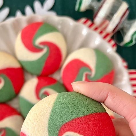 Alice Fevronia on Instagram: "💫 My neopolitan swirl cookie recipe has been my most popular recipe ever (according to hits on my website, and the number of times I’ve been tagged in your creations!) so I thought I would give them a festive makeover! 🎄 They’re made of a really simple buttery sugar cookie dough, but the joy is all in the swirl! I went for vanilla and almond this time, but you could add any flavourings you like, I guess even peppermint to make them taste like peppermint candy too! You will need (makes around 18 cookies): * 200g unsalted butter * 125g icing sugar * 1 large egg * Pinch of salt * 1 tbsp cornflour * 350g plain flour * 1 tsp vanilla extract * 1 tsp almond extract * Red, green and white food colouring  1. Cream together the butter and icing sugar 2. Add the eg Neopolitan Swirl Cookies, Red And Green Swirl Cookies, Swirl Cookies Christmas, Red And White Christmas Cookies, Swirl Cookies Recipe, Christmas Swirl Butter Cookies, Red And Green Cookies, Red And Green Christmas Cookies, Christmas Swirl Cookies