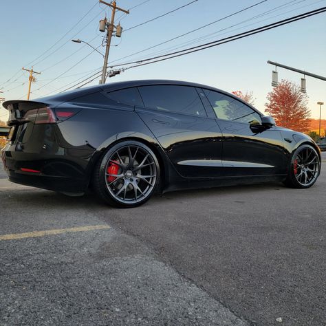 Custom Tesla, Auto Tune, Tesla Wheels, Tesla 3, Ferrari Cars, Car Quotes, Pimped Out Cars, Car Tattoos, Ferrari Laferrari