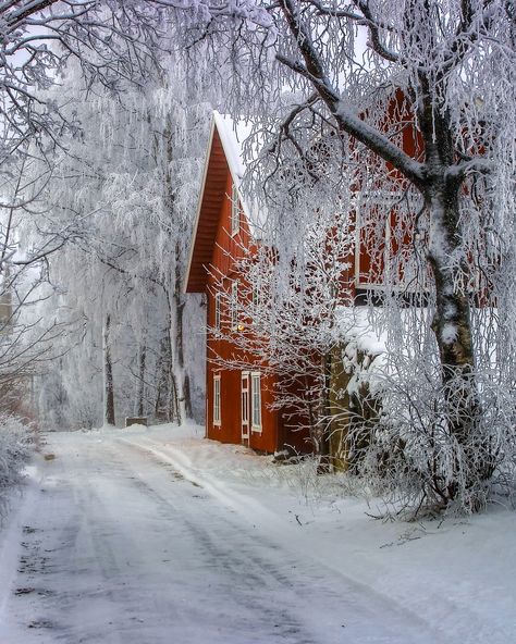 Lillehammer, Winter Szenen, Winter Love, Winter Magic, Red House, Winter Scenery, Winter Beauty, Snow Scenes, Red Barns