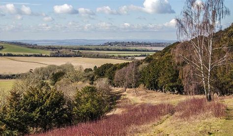 Watlington Hill Nature, Oxfordshire Countryside, Deer Park, River Thames, National Trust, Nature Trail, Best Sites, Boat Trips, Nature Reserve