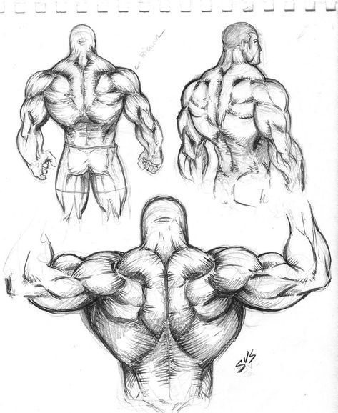 Muscular Back Study 01 by spacehater on DeviantArt Photoshop, Character Sketches, Art, Muscles, Anatomy, Pencil, Deviantart, Humanoid Sketch