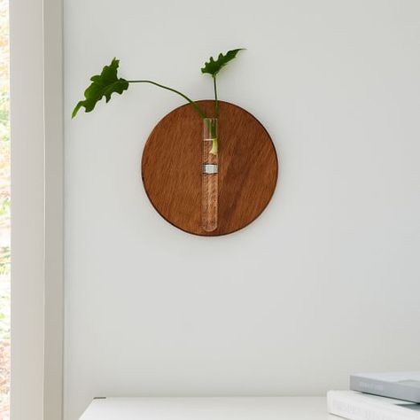 Flower Pots & Planters | West Elm Round Wood Shelf, Wood Party Decorations, Charleston Living, Hanging Propagation, Plant Clippings, Stem Plant, Social Bar, Vase Plant, Housing Design