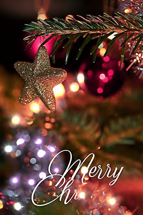 Natal, Xmas Gif, Merry Christmas Gif, 25 November, Christmas Gif, Christmas Scenes, 8th Of March, Merry Christmas And Happy New Year, Christmas Magic