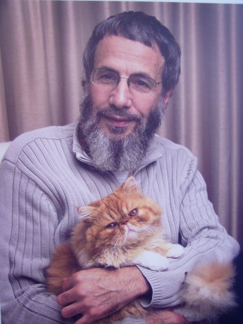 cat stevens Celebrity Cats, Celebrities With Cats, Famous Cats, Patricia Highsmith, Men With Cats, Cat Stevens, The Cradle, Cat People, Cat Person