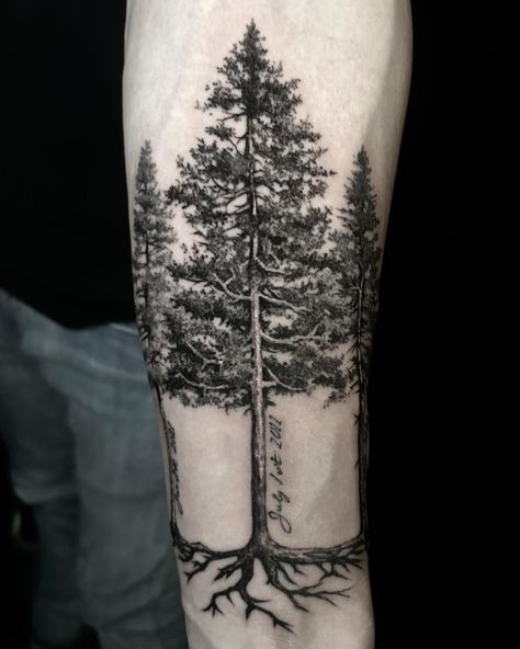 In the embrace of family roots: @jenskinart's signature black and gray realistic trees tattoo stands tall as a tribute to familial bonds. Each branch whispers stories of strength and connection, etched in ink as enduring as the family tree itself. 🌳🖤⁠ Black And White Tree Tattoo, Bald Cypress Tree Tattoo, Tree Tattoo Upper Arm, Tree Calf Tattoo, Realistic Tree Tattoo, Tree With Roots Tattoo, Troy Tattoo, Trees Tattoo, Buffalo Tattoo