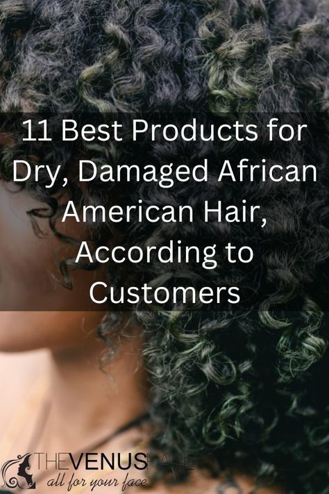 11 Best Products for Dry, Damaged African American Hair 2024 Extremely Dry Hair, Products For Damaged Hair, African American Hair Care, Dry Natural Hair, African American Hair, Stop Hair Breakage, Damage Hair Care, Hair Mistakes, Good Shampoo And Conditioner