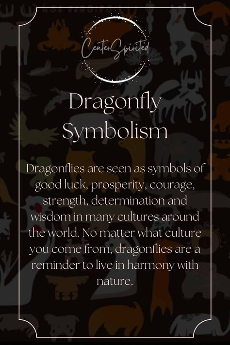 Crow Meaning, Dragonfly Symbolism, Spirit Animal Meaning, Animal Meanings, Spiritual Animal, Animal Spirit Guides, Animal Guides, Power Animal, Animal Symbolism