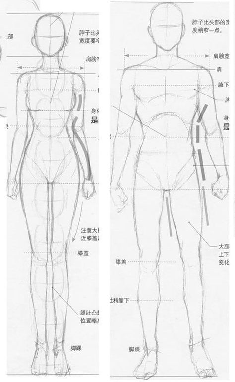 Male Body Anatomy Reference Drawing, Male Body Drawing Tutorial Anatomy, Drawing Tips On Paper, Basic Pose Reference Drawing, Art Reference Poses Drawing Basic, Male Body Tutorial Drawing, Blank Body Template, Male Body Proportions, Male Body Drawing Tutorial