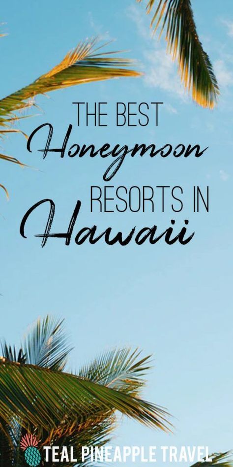 Looking for the best honeymoon resorts in Hawaii? Here are the 10 best resorts in Hawaii for honeymoons on 5 differently islands. #hawaiihoneymoon #hawaiihoneymoonresorts #hawaiitravelagent #hawaiivacationideas #hawaiihoneymoonideas #wheretostayinhawaii Hawaii Honeymoon Resorts, Best Hawaiian Island, Hawaiian Honeymoon, Honeymoon Travel Agent, Best Honeymoon Resorts, Resorts In Hawaii, Hawaiian Resorts, Maui Resorts, Hawaii Resorts