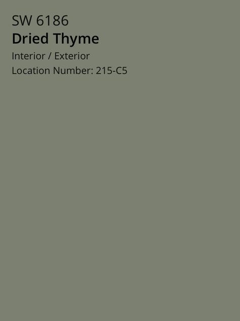 Save Green Paint Colors, Earthy Green Accent Wall, Sherwin Dried Thyme, Save Green Paint, Sherwin William Dried Thyme, Dinosaur Room Paint Colors, Dry Thyme Sherwin Williams, Sherwin Williams Gallery Green, Mid Century Green Paint Colors