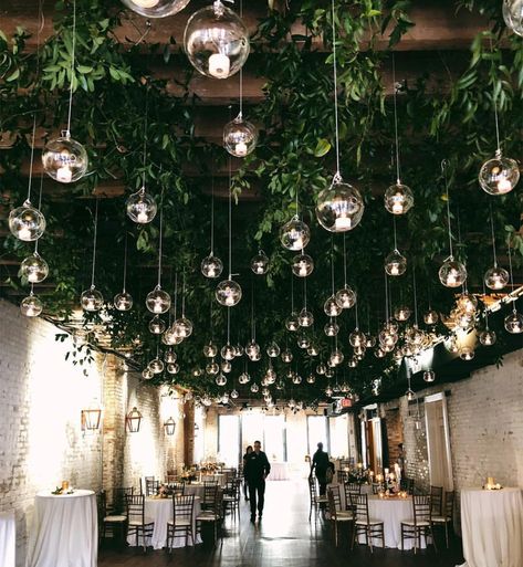 Hanging Lights Wedding Ceiling Lights, Christmas Wedding Ceiling Decor, Florals Hanging From Ceiling Wedding, Ivy Hanging From Ceiling, Floral Ceiling Installation Wedding, Greenery Ceiling Installation, Hanging Greenery Installation, Hanging Wedding Florals, Greenery Ceiling Wedding