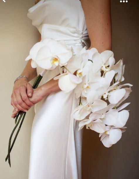 White Orchid Bouquet, Orchid Bouquet Wedding, Orchid Bouquet, Bridal Bouquet Flowers, Orchid Wedding, White Bridal Bouquet, Phalaenopsis Orchid, Birmingham Alabama, Marriage Ceremony