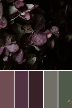 Dusty Plum Color Palette, Plum Color Palette, Plum Walls, Dark Color Palette, Dark Home Decor, Color Schemes Colour Palettes, Color Palette Design, Gothic House, Colour Board