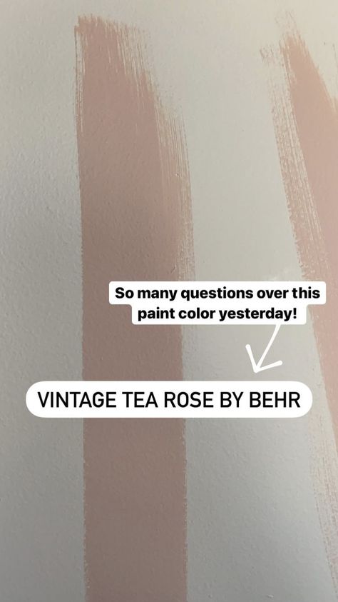 Perfect Dusty Pink Paint, Ash Rose Behr Paint, Dusty Blush Paint, Mauve Rose Paint Color, Dusty Mauve Wall Color, Behr Paint Colors Pink Shades, Dusty Pink Walls Living Room, Light Pink Office Walls, Muted Blush Paint Color