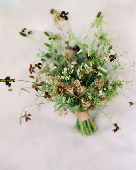 Destination Wedding Photograher on Instagram Botanical Wedding Flowers, Foliage Bouquet, Small Bridal Bouquets, Unique Bridal Bouquets, Modern Wedding Bouquets, Floral Bouquets Wedding, Simple Wedding Bouquets, Bridal Bouquet Summer, Colorful Wedding Bouquet