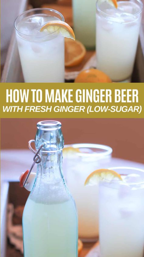 Ginger Beer Drinks, Fermented Beverages, Fermentation Station, Soda Stream Recipes, Homemade Ginger Beer, Ginger Ale Recipe, Ginger Beer Recipe, Ginger Soda, Homemade Ginger Ale