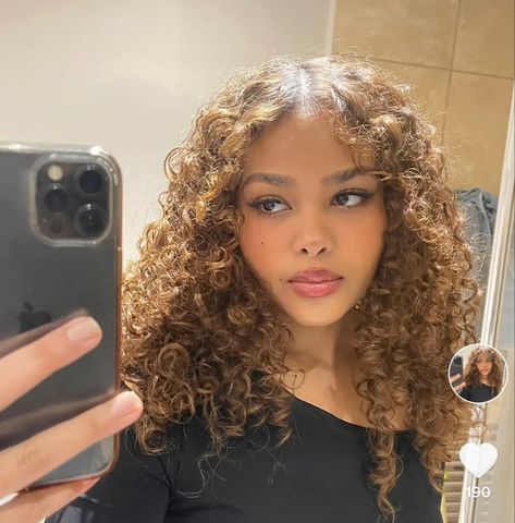 Curly Light Brown Hair, Cheveux Oranges, Golden Brown Hair Color, Dyed Curly Hair, Golden Brown Hair, Highlights Curly Hair, Honey Brown Hair, Brown Curly Hair, Blonde Curly Hair