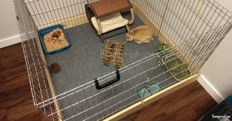 What is the best floor for my bunny enclosure? Indoor Rabbit Enclosure, Indoor Rabbit Run, Rabbit Enclosures, Indoor Bunny House, Bunny Enclosure, Indoor Rabbit House, Rabbit Hutch Indoor, Indoor Rabbit Cage, Rabbit Enclosure