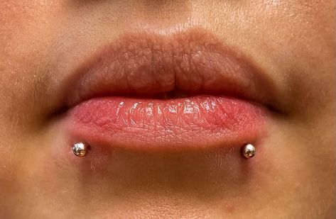 THE ONLY KIND OF SNAKE BITES THAT ARE GOOD FOR YOU 🐍  PIERCED BY @esthetic_drip_  Soho, Union Square, and Williamsburg  11AM-9PM 7 DAYS A/W🕘 WALK-INZ OR BOOK ONLINE..📕 TATTOOS & PIERCINGS, NO ATTITUDE, NO MISERABLE HOOPS TO JUMP THROUGH....🚫 WALK-INZ WELCOME OR BOOK ONLINE AT ⚔️livebytheswordtattoo.com⚔️ . . . . #livebythesword #snakebite #snakebitepiercing #piercingcheck #lippiercing Snake Bites Studs, Piercing Setup, Snake Bites Piercing, Kinds Of Snakes, Snake Bite Piercing, Snake Bite, Face Piercings, Dermal Piercing, Snake Bites