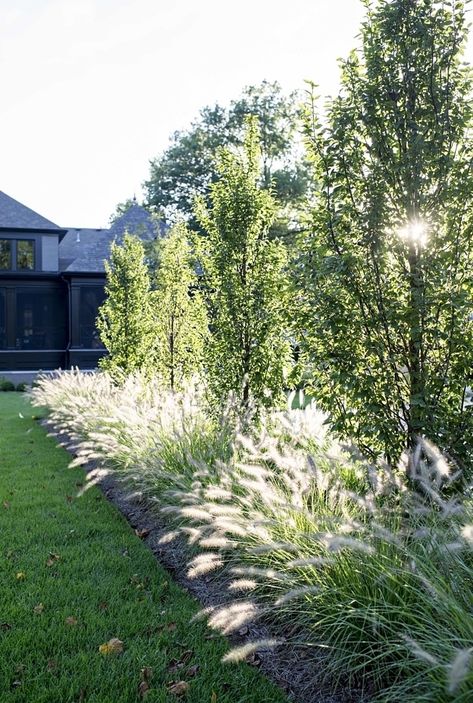 French Country Landscaping, Patrick Henry, Privacy Landscaping, Grasses Landscaping, Front Landscaping, Country Landscaping, Home Landscaping, House Landscape, Perfect Garden