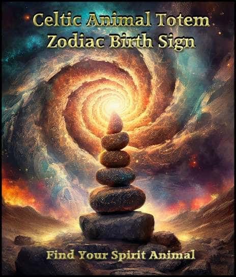 Celtic Animal Zodiac Astrology Birth Sign Meanings Celtic Animal Zodiac, Celtic Goddesses, Celtic Signs, Swan Animal, Celtic Zodiac, Birth Signs, Celtic Animals, Animal Zodiac, Sign Meaning