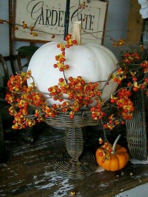 Follow The Yellow Brick Home - Decorate for Fall with Rustic and Elegant Bittersweet Vine – Follow The Yellow Brick Home Bittersweet Vine, Elegant Thanksgiving, Adornos Halloween, Fall Arrangements, Fall Thanksgiving Decor, Fall Deco, Autumn Decorating, Lodge Decor, Elegant Fall