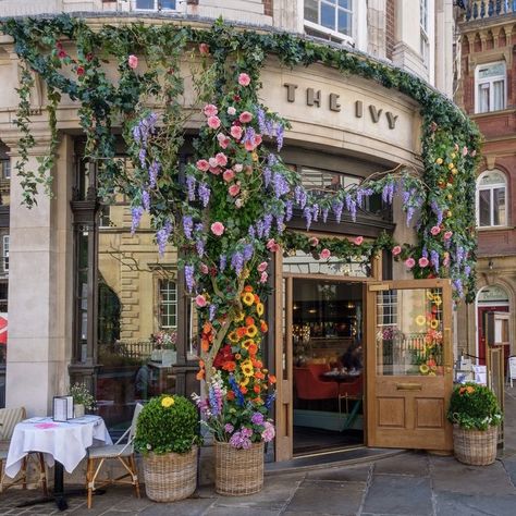 The Ivy, Tag Someone Who, Tag Someone, Ivy, Cafe, Restaurant, Flowers, Instagram