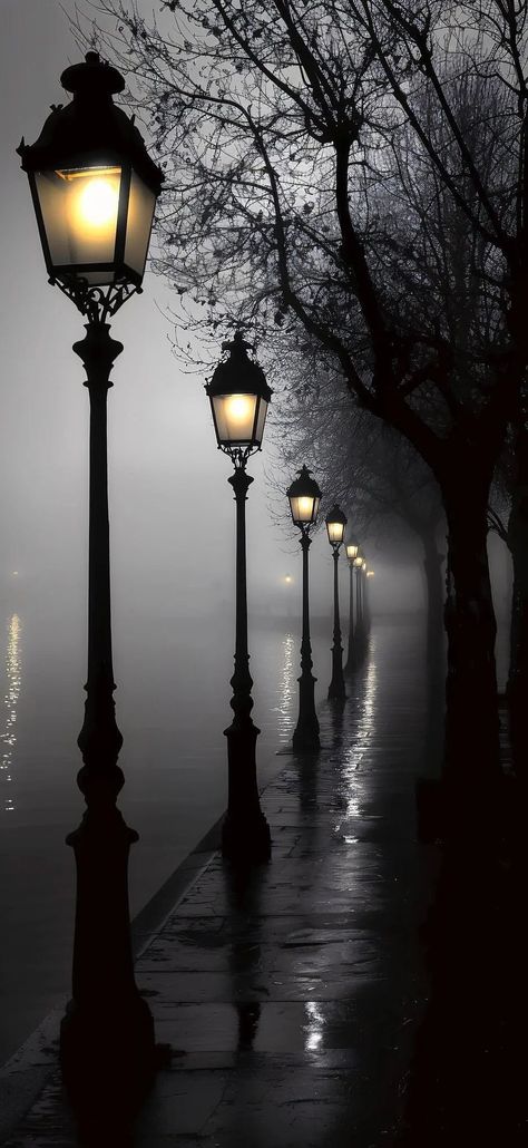 Street Lamp Aesthetic, Unique Scenery, Diy Gem, Street Lights, Beautiful Dark Art, Cool Wallpapers Art, Jolie Photo, Pretty Wallpapers Backgrounds, Alam Yang Indah