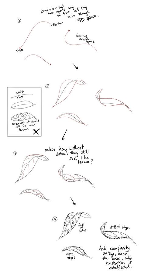 Drawing Plants Tutorial, Leaf Drawing Reference, Leaves Reference Drawing, Folded Leaves Drawing, Drawing Leaves On A Tree, Leaves Tutorial Drawing, How To Draw Leaf, Leaf Tutorial Drawing, Detailed Leaf Drawing