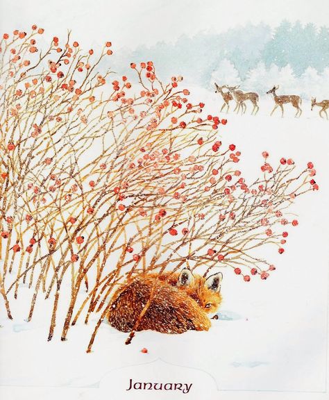 Tamamo No Mae, Fox Artwork, Winter Illustration, Fox Illustration, Fox Art, Winter Art, Woodland Creatures, Art Journals, Winter Scenes