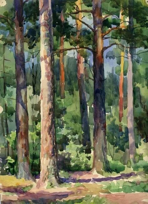 Pine Forest Watercolor, How To Paint Forest Trees, Forest Trees Painting, Tree Forest Painting, Pine Forest Painting, Watercolor Forest Landscape, Watercolour Forest, 자작나무 �그림, Forest Oil Painting