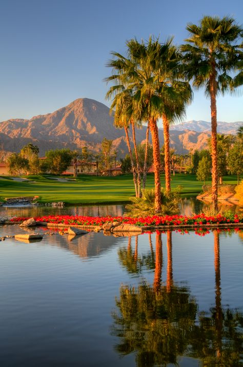 Palm Springs, California (HDR) | Peter Talke Photography. Relaxing Pictures, Spring Scenery, Village Photography, Palm Springs California, Countries To Visit, Tableau Art, Beautiful Photos Of Nature, Landscape Pictures, Alam Yang Indah