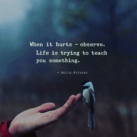 birdhist buddhist ☸️ Quotes Loyalty, When It Hurts, Quotes Thoughts, Positive Mind, A Quote, Simple Living, Meaningful Quotes, The Words, Great Quotes