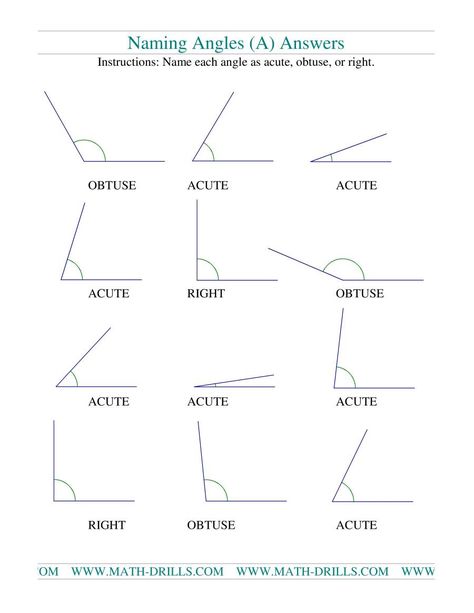 Angles Math Geometry Worksheet, Angles Math Geometry, Grade 6 Math Worksheets, Elementary Montessori, Angles Math, Line Math, Angles Worksheet, Math Exercises, Grade 6 Math