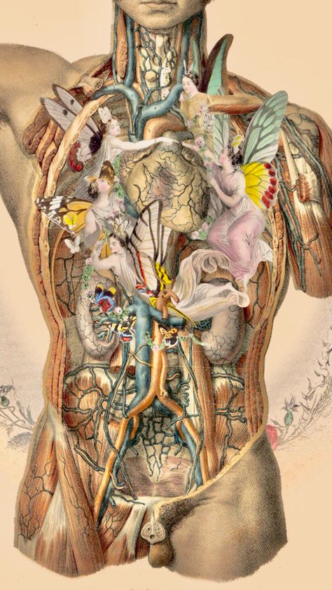 Surreal Collage, Human Anatomy Art, Juxtapoz Magazine, Medical Art, Gcse Art, Medical Illustration, A Level Art, Ap Art, The Human Body