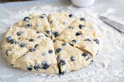 Buttery, moist, and tender homemade Blueberry Scones are perfectly sweetened and wonderful for Sunday brunch! Buttermilk Scones Recipe Martha Stewart, Blueberry Scones Recipe Pioneer Woman, Large Batch Scones, High Altitude Scones, Scones Lemon, Blueberry Scones Recipe, Scone Recipes, Scones Recipe Easy, Frozen Berries