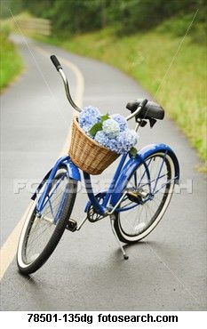 . Pretty Bicycle, Arranged Flowers, Valentines Cakes, Bike Planter, Bicycle Pictures, Blue Bicycle, Basket Flowers, Bike With Basket, Bicycle Travel