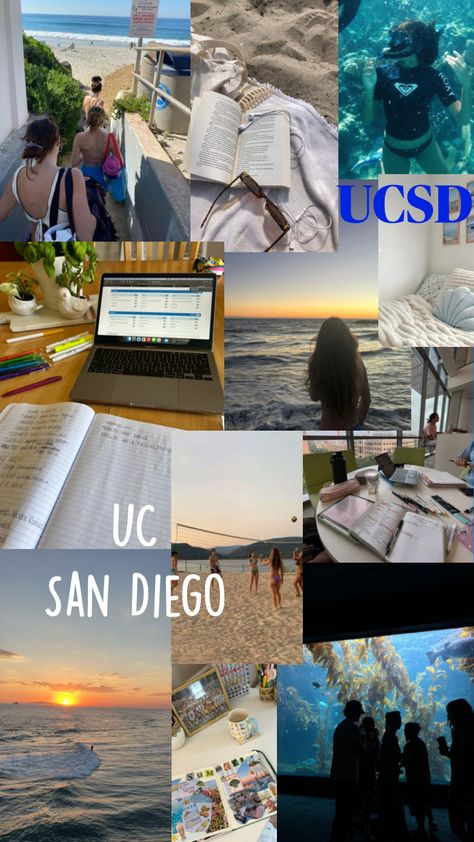 #ucsd UC San Diego inspiration #trending #love University Of California San Diego, Uc San Diego, School Choice, College Board, Dream College, Dream School, Life Plan, Grad School, University Of California