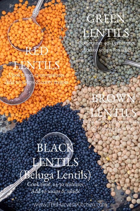 What are lentils? Lentils are small legumes that are rich with protein and fiber. Dried lentils can be cooked and used in many plant based recipes that make delicious and satisfying meatless meals. Here's a breakdown of some of the more common types of lentils and how to incorporate them into your diet. List Of Lentils, What Are Lentils, Best Lentil Recipes, How To Make Lentils, Best Lentil Soup Recipe, Vegan Bolognese Sauce, Beans And Lentils, Lentil Recipes Easy, Vegan Tacos Meat