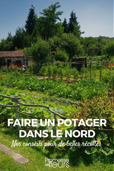 Faire un potager dans le nord Plan Potager, Small Garden Waterfalls, Vegetable Beds Raised, Garden Decoration Ideas, Aesthetic Garden, Garden Aesthetic, Low Tech, Ideas Garden, Little Garden