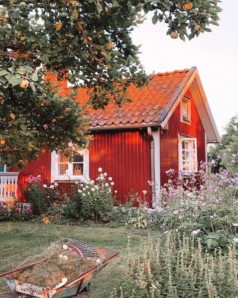 Before and After: A Rundown Croft Becomes an Idyllic Swedish Summer Cottage Cottage Kitchen Renovation, Scandinavian Cottage, My Scandinavian Home, Swedish Summer, Swedish Cottage, Summer Cabin, Visit Sweden, Red Cottage, Cottage Interior