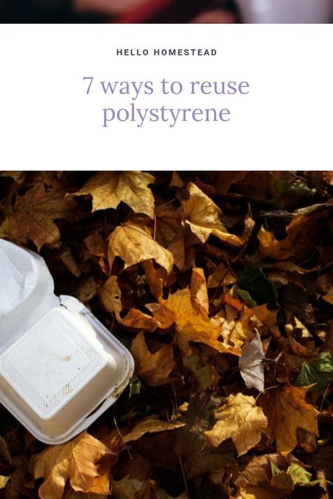 You may be wondering what to do with all that extra polystyrene. It’s not as simple as tossing it your recycling bin, even if it has that tell-tale triangle on the bottom. #recycle #reuse #sustainability #styrofoam #polystyrene Polystyrene Craft, Reuse Styrofoam, Repurpose Styrofoam, Styrofoam Recycling, Packing Peanuts, Recycling Bins, Sustainable Home, Resin Crafts, Recycling