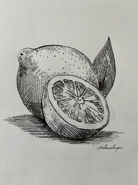 Object Drawing Colour, Fruit Sketch Pencil, Natural Forms Drawings, Fruit Sketch Drawing, Pencil Fruit Drawing, Simple Pen Sketches, Lemon Drawing Pencil Shading, Lemon Sketch Simple, Fruits Pencil Sketch