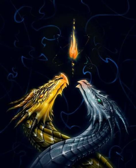 Two dragons Flame Dragon, Dragon Artwork Fantasy, Dragon's Lair, Cool Dragons, Fairy Dragon, Ange Demon, Mythical Animal, Beautiful Dragon, Mythical Beast