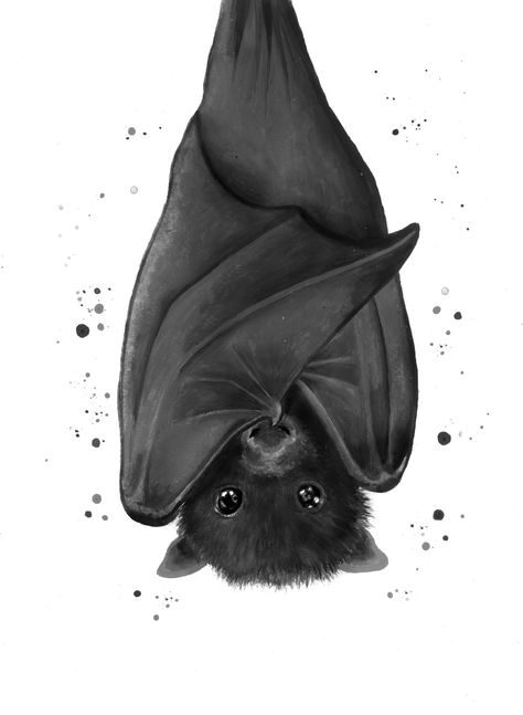 Bat Wallpaper, Bat Painting, Bat Sketch, Spooky Artwork, Cartoon Bat, Woodland Animal Art, Bat Print, Bat Tattoo, Bat Art