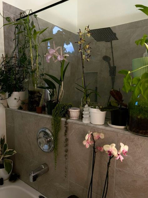 Plant Apartment Aesthetic, House Plant Aesthetic, Plant Mom Aesthetic, Home With Plants, Dream Apartment Decor, Future Apartment Decor, Plant Aesthetic, Dream House Rooms, Future Apartment