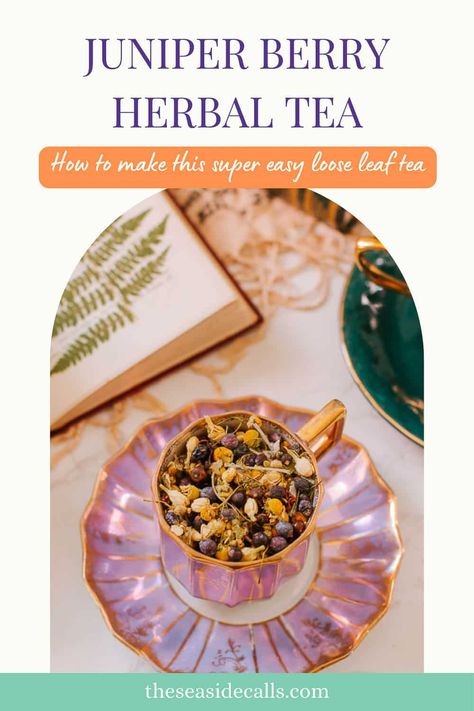 This juniper berry tea recipe is an herbal tea you can make at home that's packed with health benefits and tastes great! Juniper Berry Recipes, Juniper Berry Tea, Berry Tea Recipe, Herbal Tea Remedies, Caffeine In Tea, Tea Remedies, Berry Tea, Herbal Teas Recipes, Herbal Apothecary